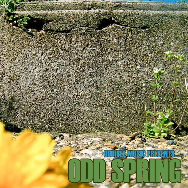 Album cover art for Odd Spring
