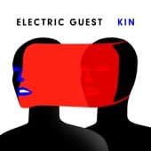 Album cover art for Kin