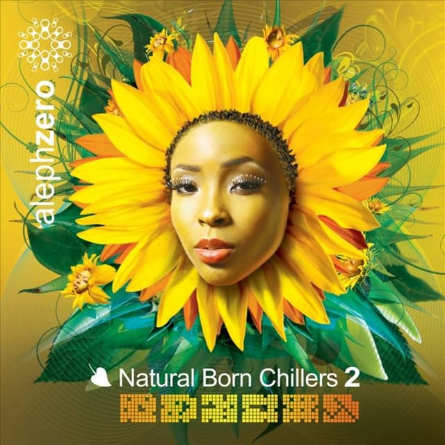 Album cover art for Natural Born Chillers 2