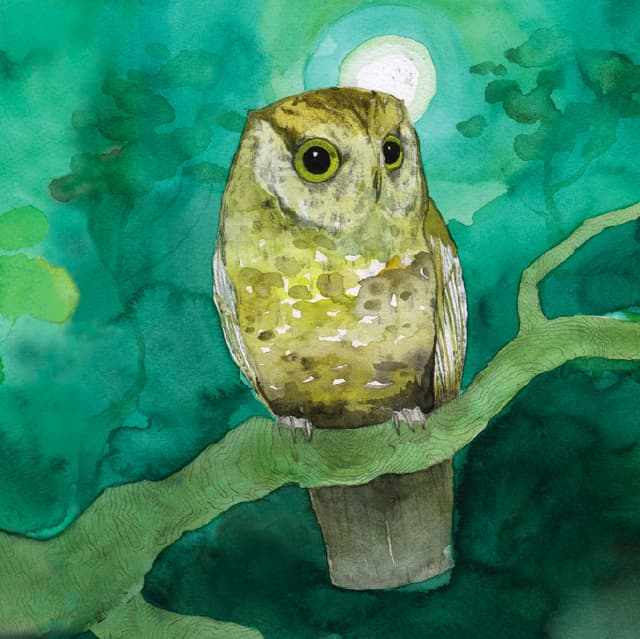 Album cover art for Storyboards