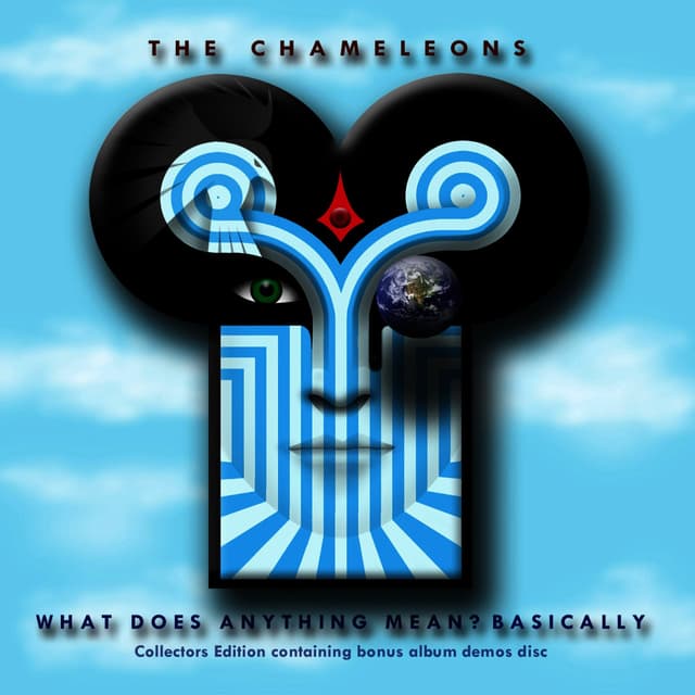 Album cover art for What Does Anything Mean? Basically