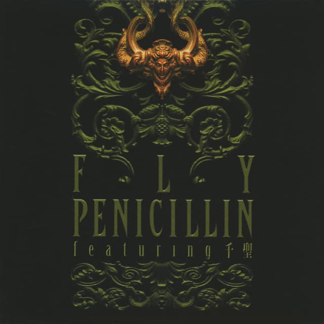 Album cover art for Fly