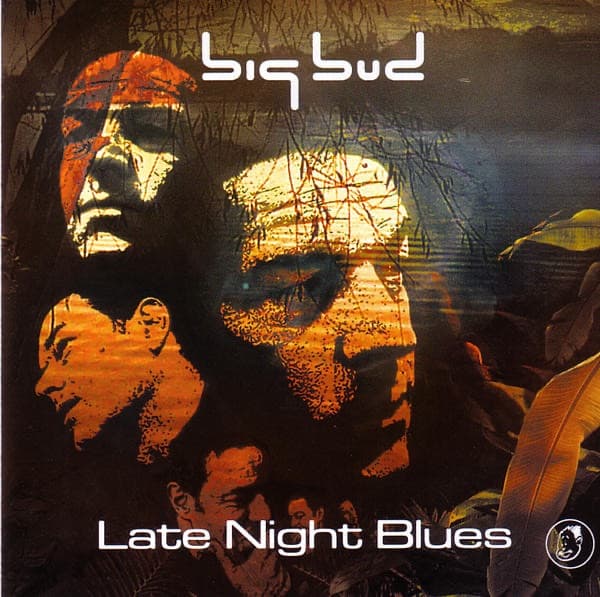 Album cover art for Late Night Blues