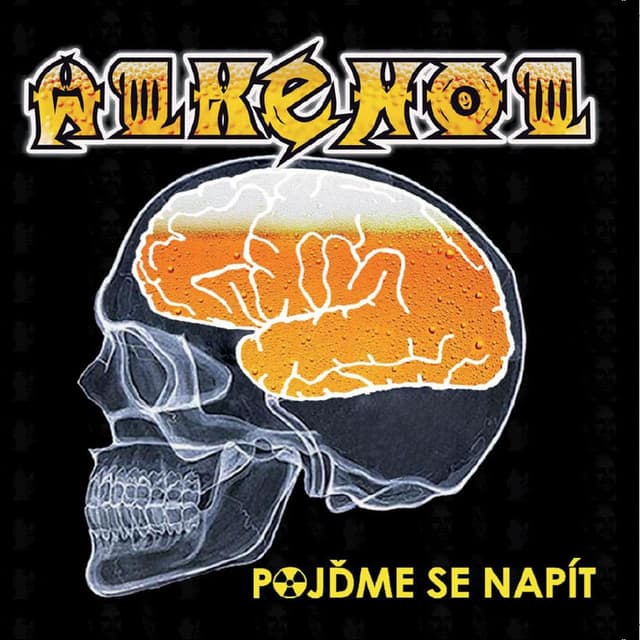 Album cover art for Pojdme Se Napit