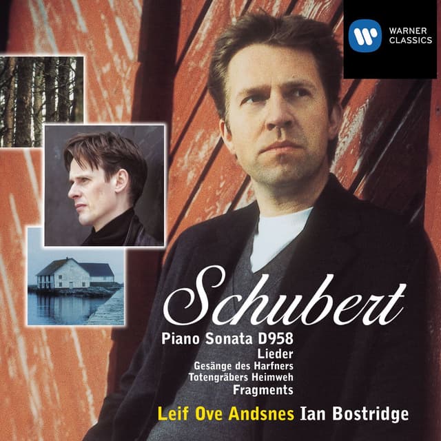 Album cover art for Schubert: Piano Sonata D958 - Lieder
