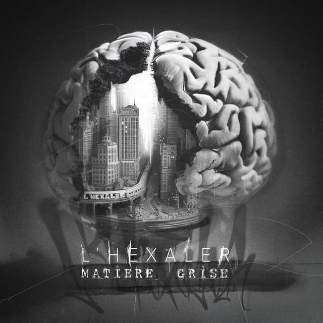 Album cover art for Matiere grise