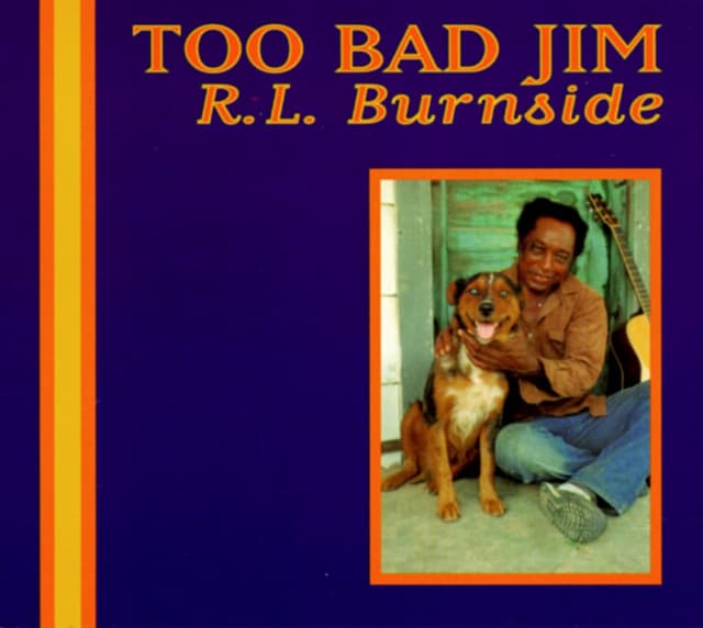 Album cover art for Too Bad Jim