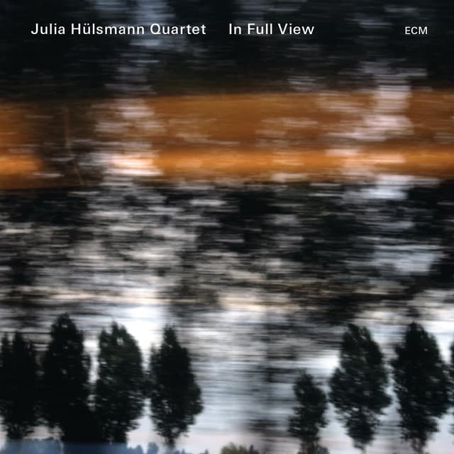 Album cover art for In Full View