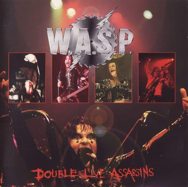 Album cover art for Double Live Assassins
