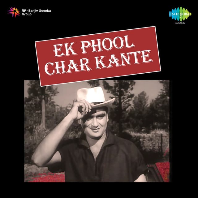 Album cover art for Ek Phool Char Kante