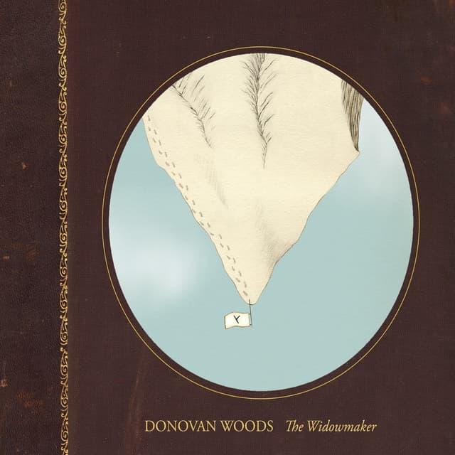 Album cover art for The Widowmaker