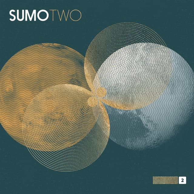 Album cover art for TWO