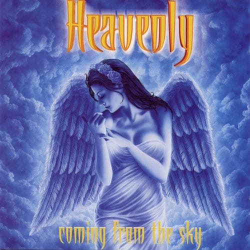 Album cover art for Coming From The Sky