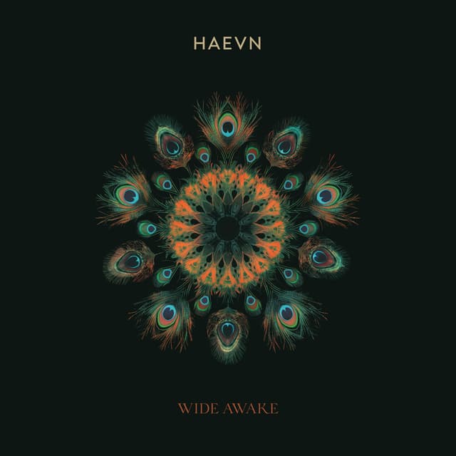 Album cover art for Wide Awake