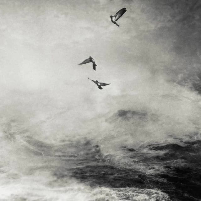 Album cover art for Pt. V