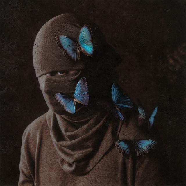 Album cover art for MORPHO