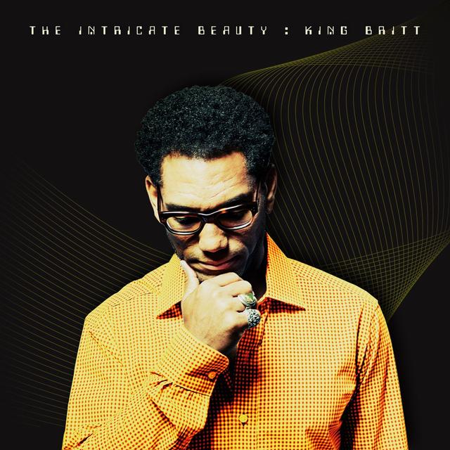 Album cover art for The Intricate Beauty