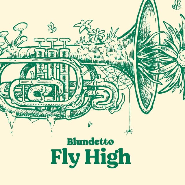 Album cover art for Fly High