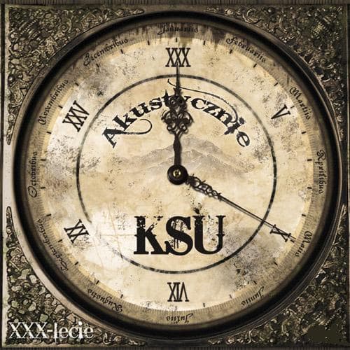 Album cover art for XXX-lecie, Akustycznie