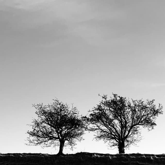 Album cover art for A Heightened Sense of Everything