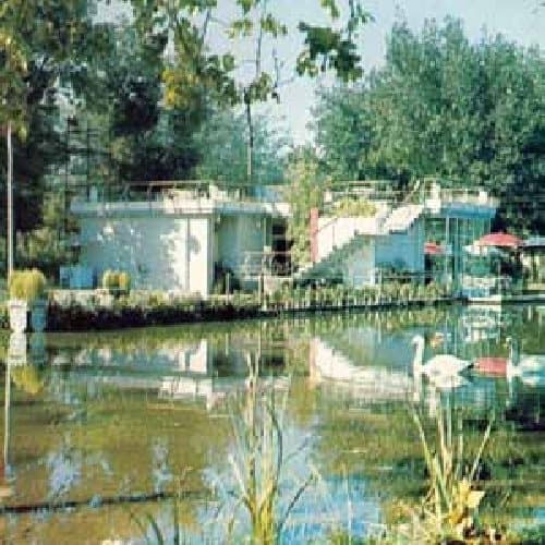 Album cover art for Ducktails III : Arcade Dynamics