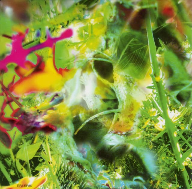 Album cover art for Second Nature