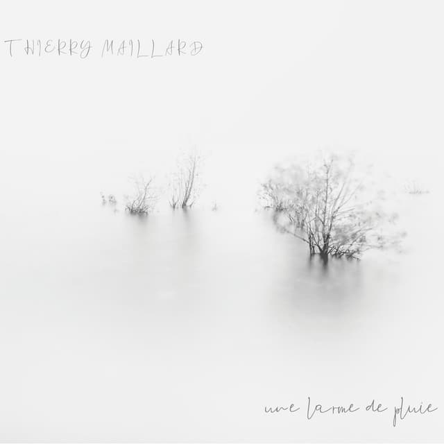 Album cover art for Une Larme de Pluie