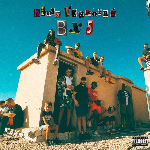 Album cover art for BX Land 5