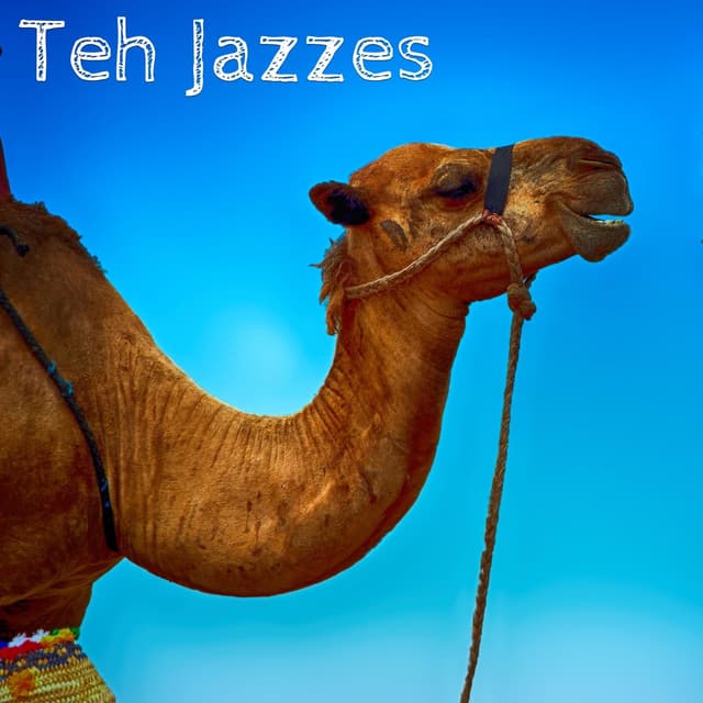 Album cover art for Teh Jazzes