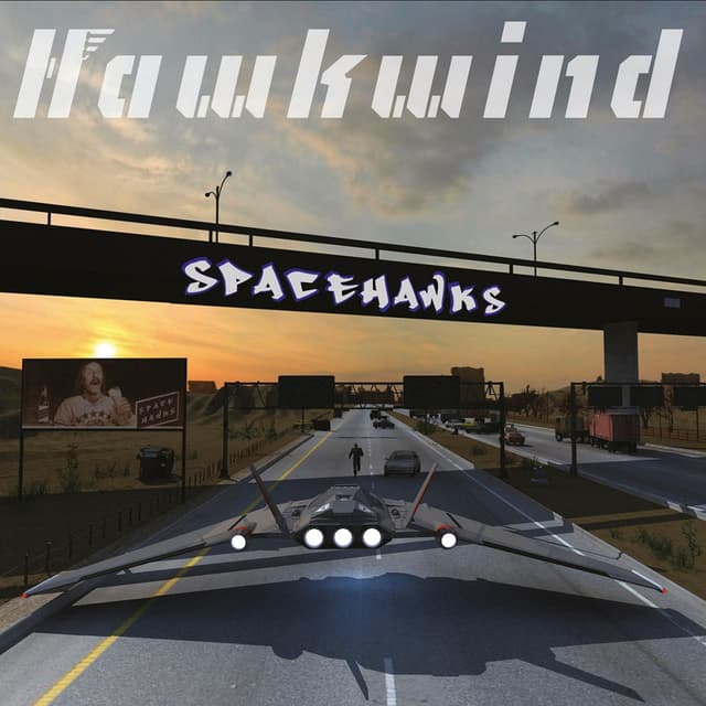 Album cover art for Spacehawks