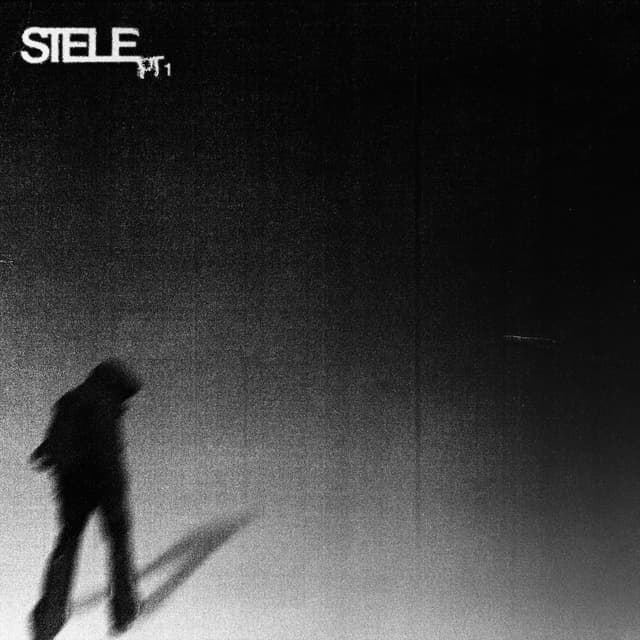 Album cover art for STELE (1ère Partie)