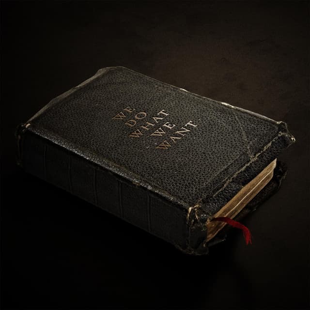 Album cover art for We Do What We Want