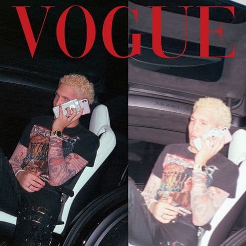 Album cover art for Vogue