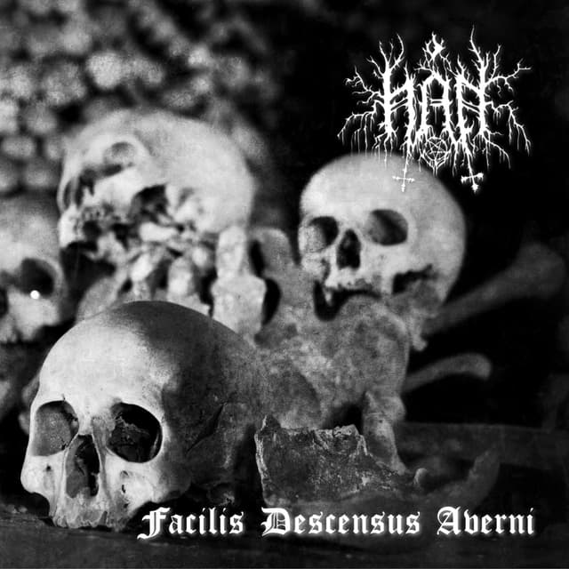 Album cover art for Facilis Descensus Averni