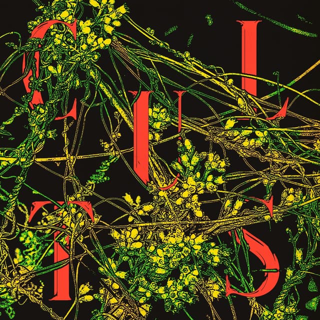 Album cover art for Host