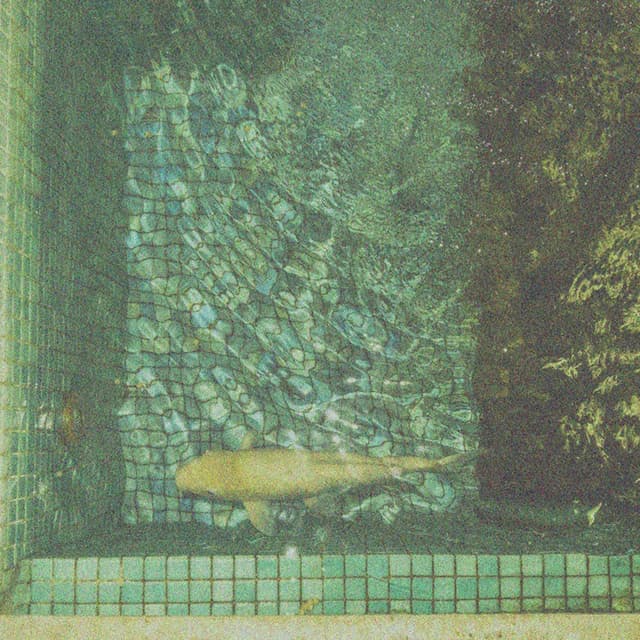 Album cover art for Ganga