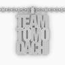 チーム友達 (Team Tomodachi)