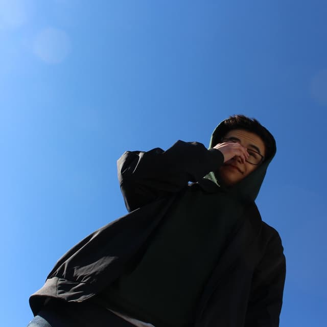 Album cover art for Favorites