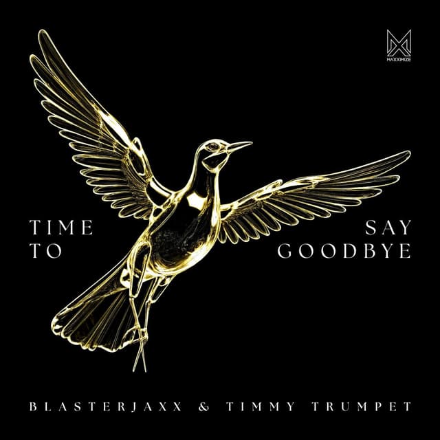 Album cover art for Time To Say Goodbye