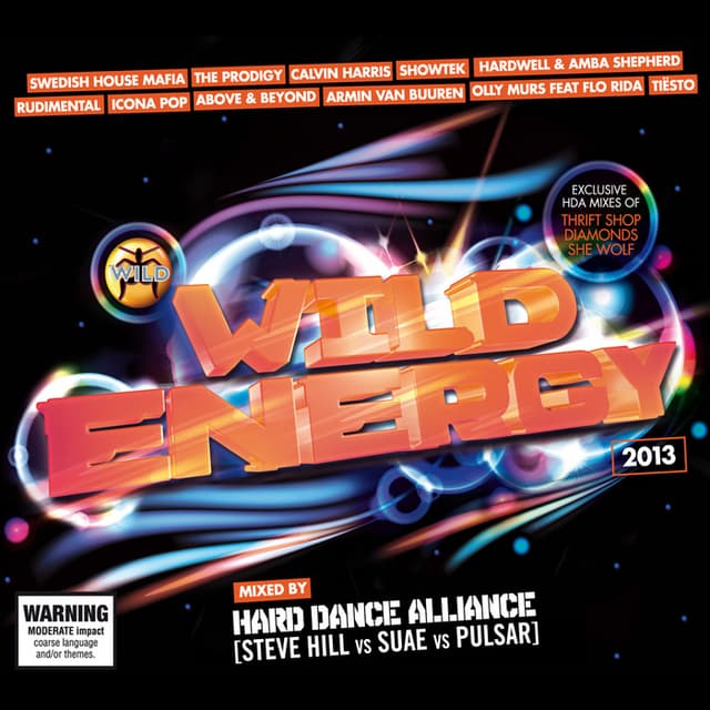 Album cover art for Wild Energy 2013