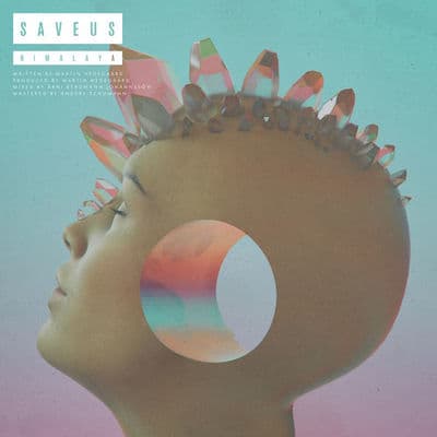 Album cover art for Himalaya