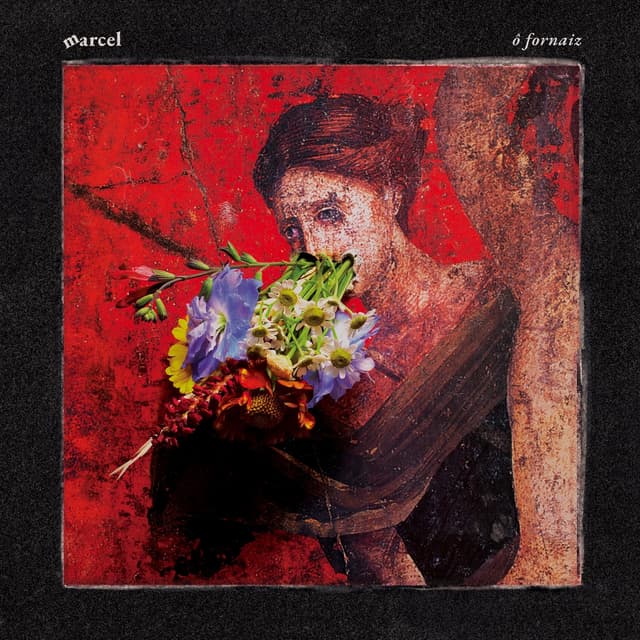 Album cover art for ô fornaiz