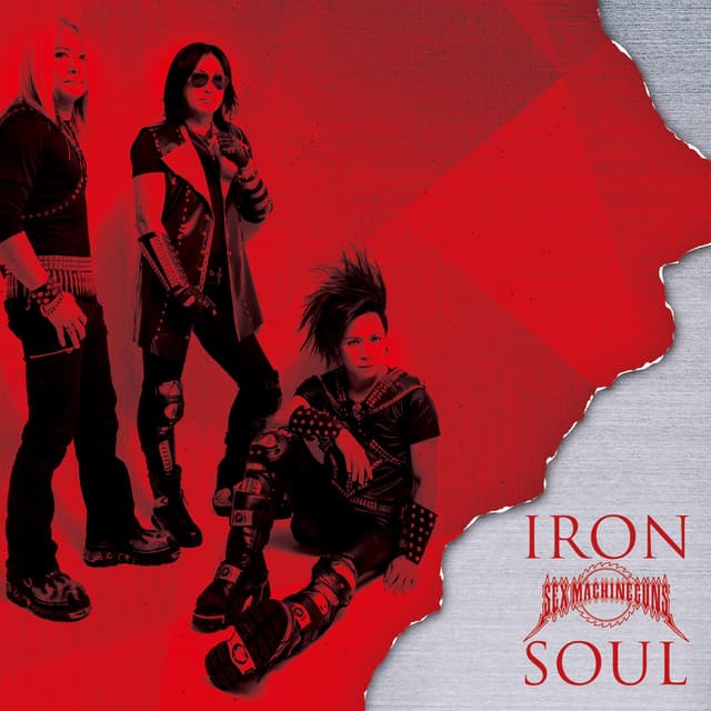 Album cover art for Iron Soul