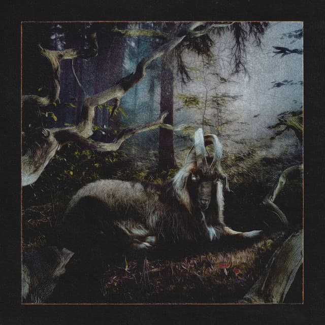 Album cover art for Feet of Clay