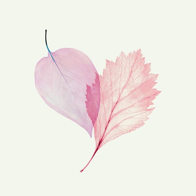 Album cover art for Sore Wo Ai To Yobudake - Single