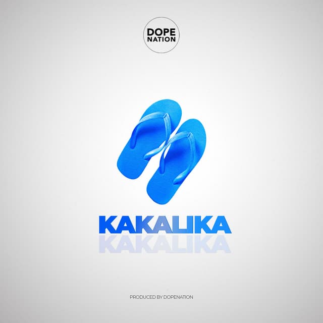 Album cover art for Kakalika
