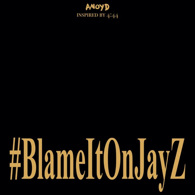 Album cover art for Blame It On Jay Z