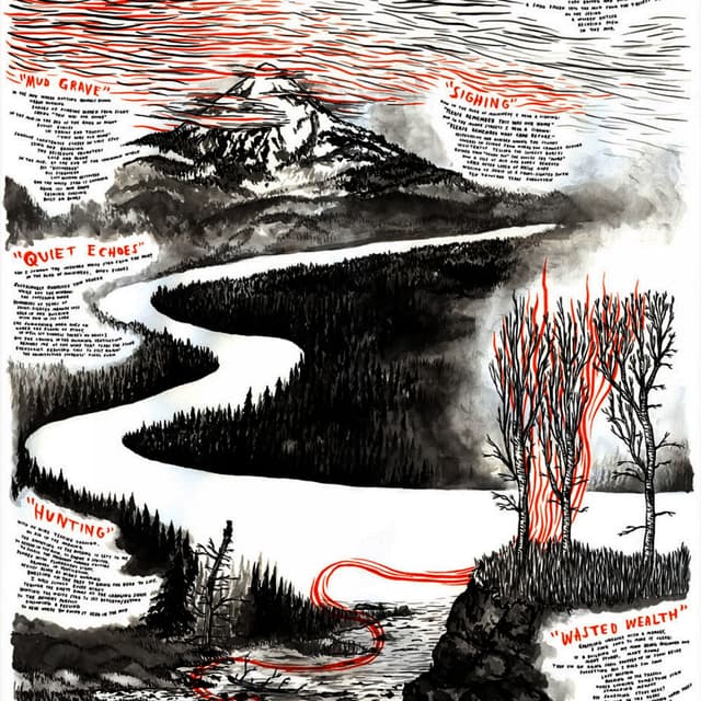 Album cover art for White Stag