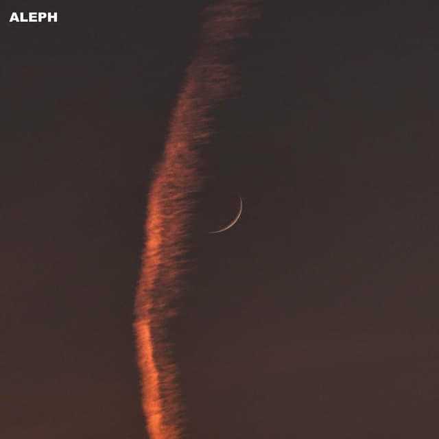 Album cover art for 21' Archive