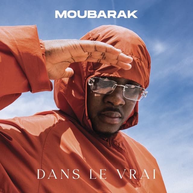 Album cover art for Dans le vrai